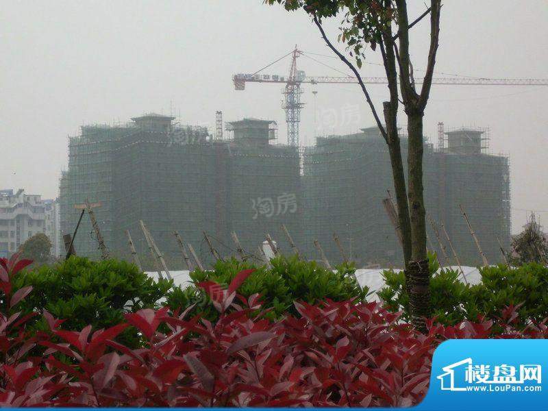 兴东佳苑配套图
