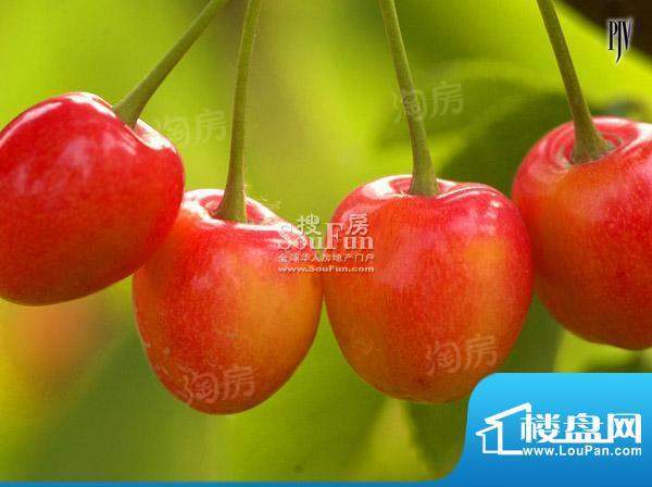 紫玉山庄配套图