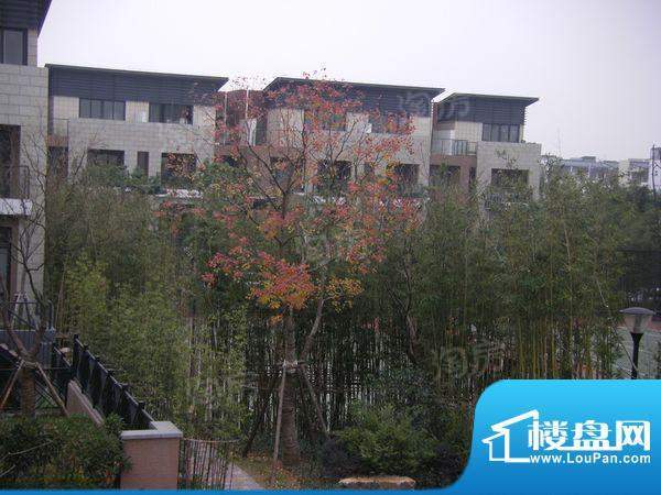 沿海郦墅别墅配套图