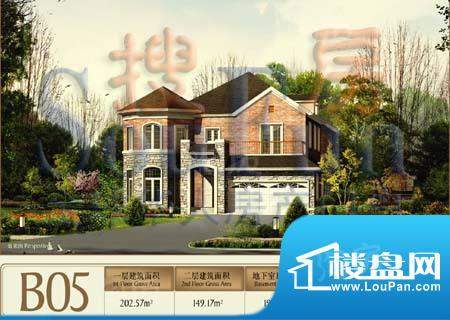 东方普罗旺斯B05立面户型 面积:351.74平米