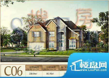 东方普罗旺斯C06立面户型 面积:412.97平米