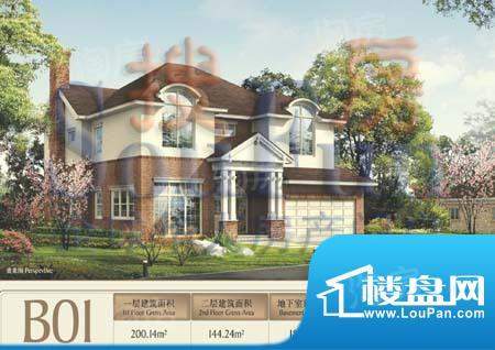 东方普罗旺斯B01立面户型 面积:344.38平米