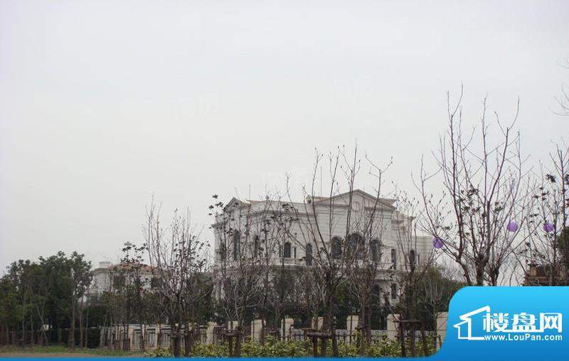 四季雅苑别墅配套图