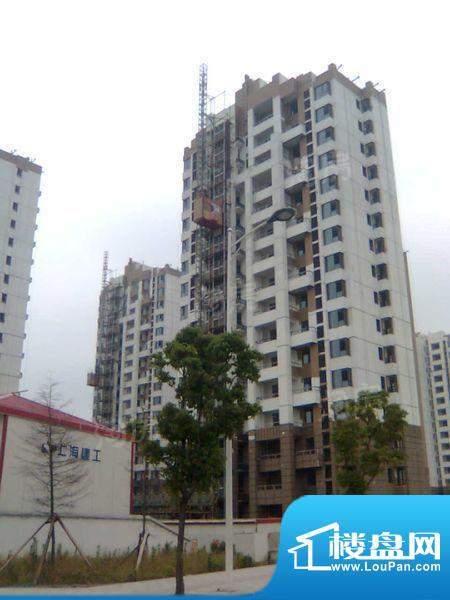 同盛南桥花园配套图