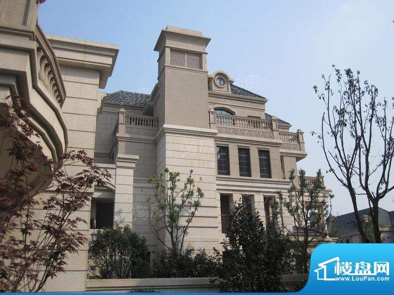 绿地新南路壹号别墅配套图