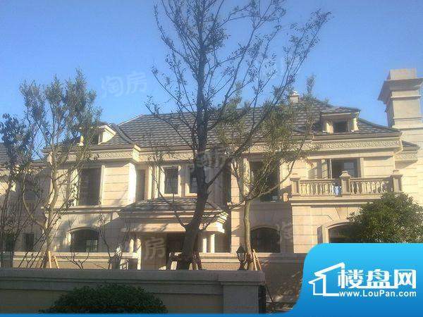 绿地新南路壹号别墅配套图