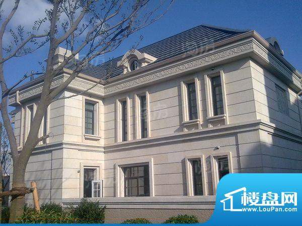 绿地新南路壹号别墅配套图