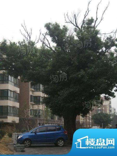 盛景嘉园配套图