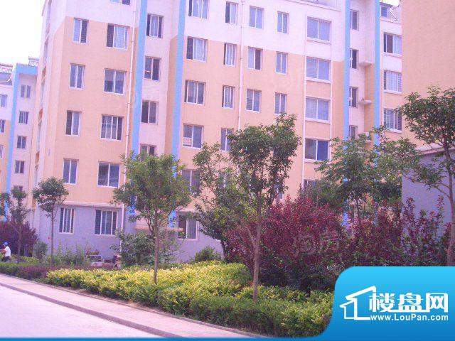 华安东方明珠配套图