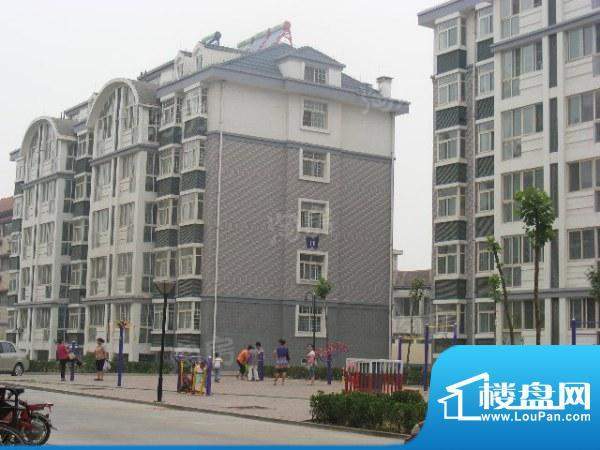 金御皇廷配套图