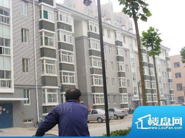 金御皇廷配套图