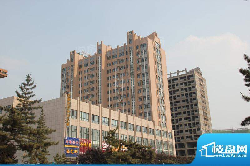 金御皇廷配套图