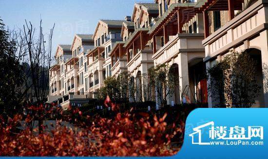 开元麓郡配套图