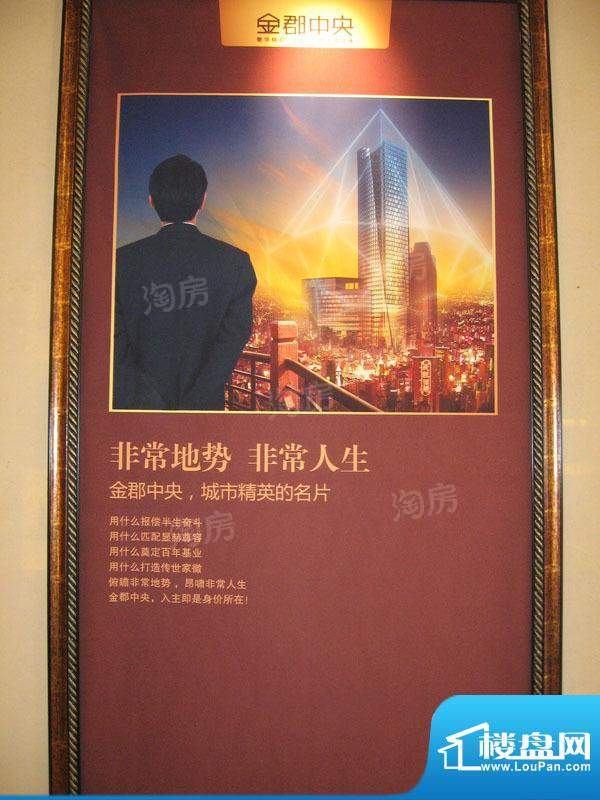 金郡中央配套图