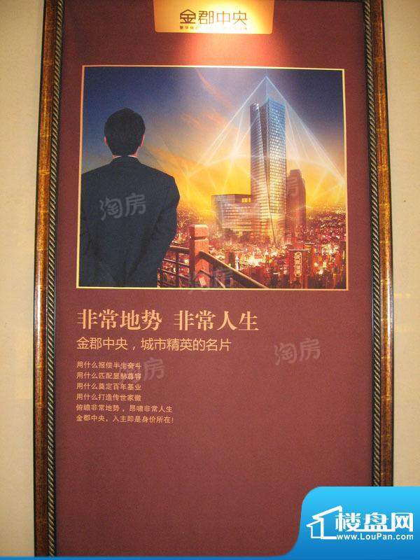 金郡中央配套图