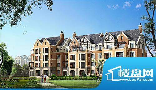 国基城邦配套图