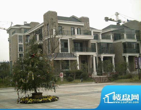 江南世家配套图