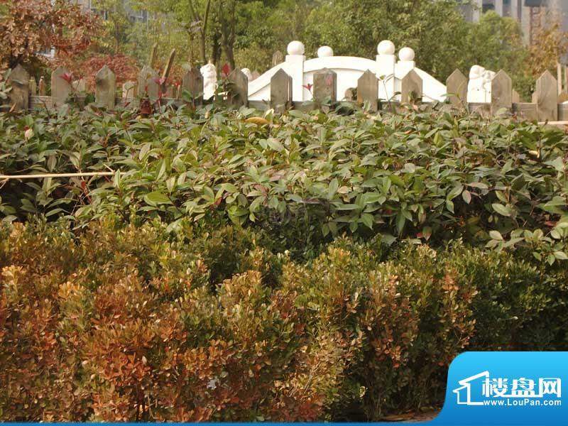 世纪名门配套图