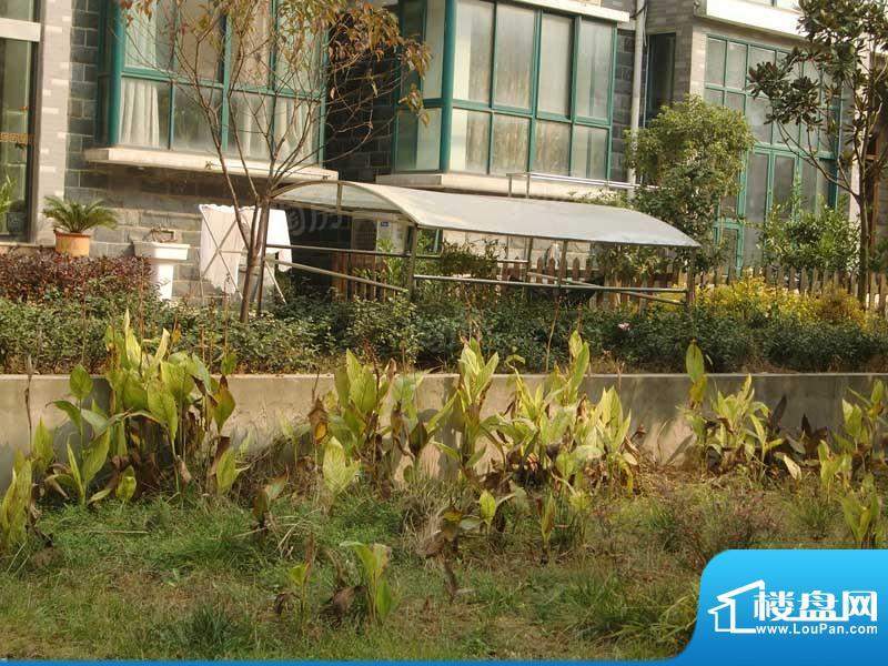 世纪名门配套图