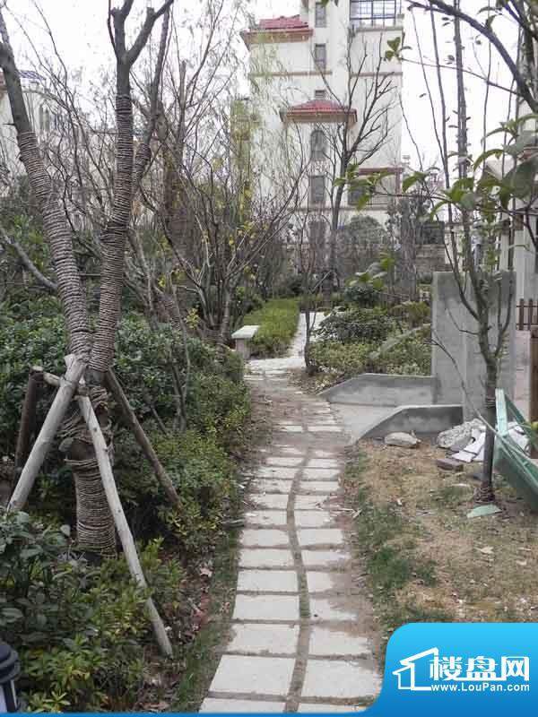 中南世纪城配套图
