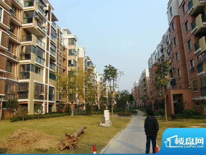 恒美山庄配套图