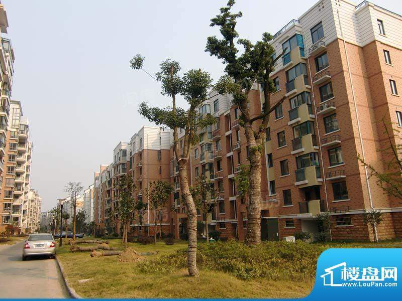 恒美山庄配套图