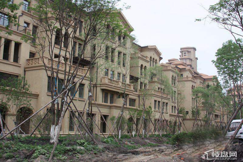 地恒 托斯卡纳实景图