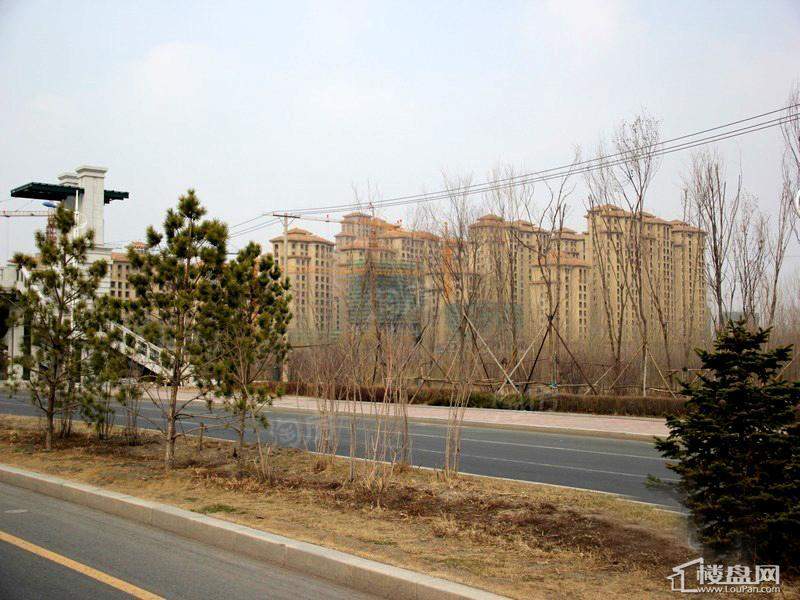 地恒 托斯卡纳实景图