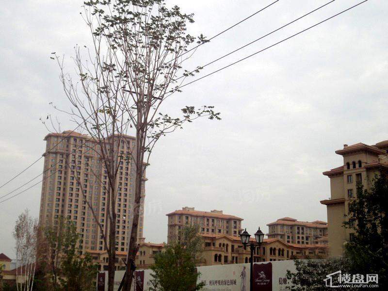 地恒 托斯卡纳实景图