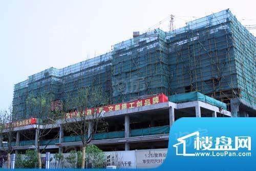 泰盈八千里配套图