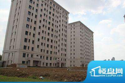 泰和之春配套图