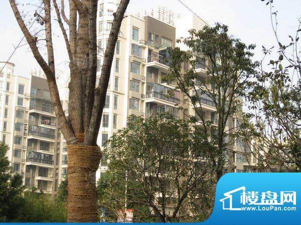 世茂香槟湖配套图