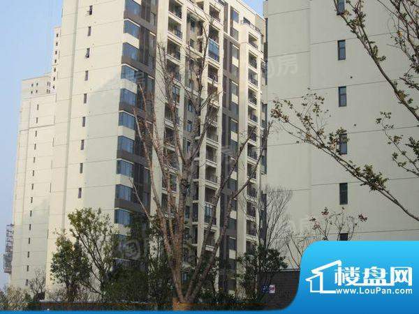 世茂香槟湖配套图