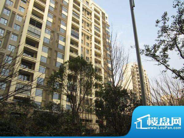 世茂香槟湖配套图