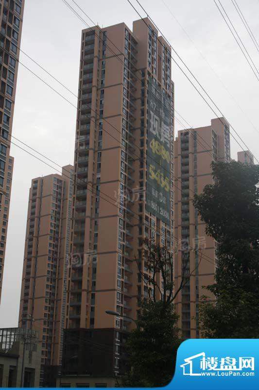聚湖雅苑配套图