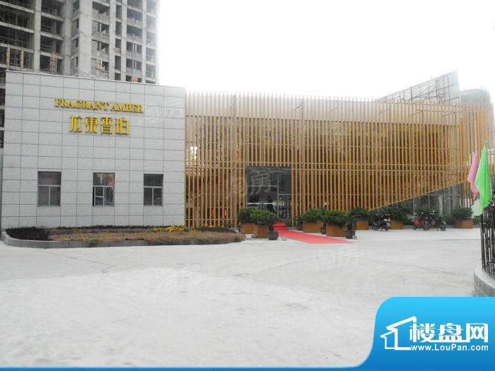 龙东香珀配套图