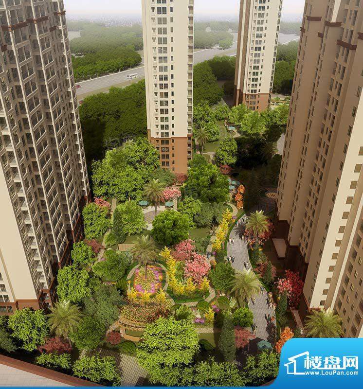 龙东香珀配套图