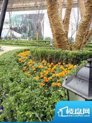 绿城玉兰广场配套图