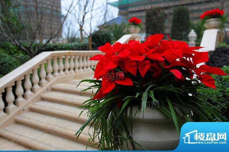 绿城玉兰广场配套图