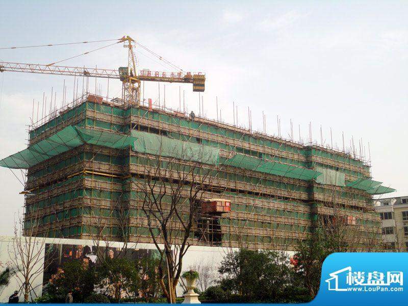 绿城玉兰广场配套图