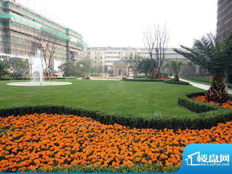 绿城玉兰广场配套图