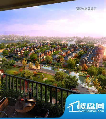 高成天鹅湖配套图