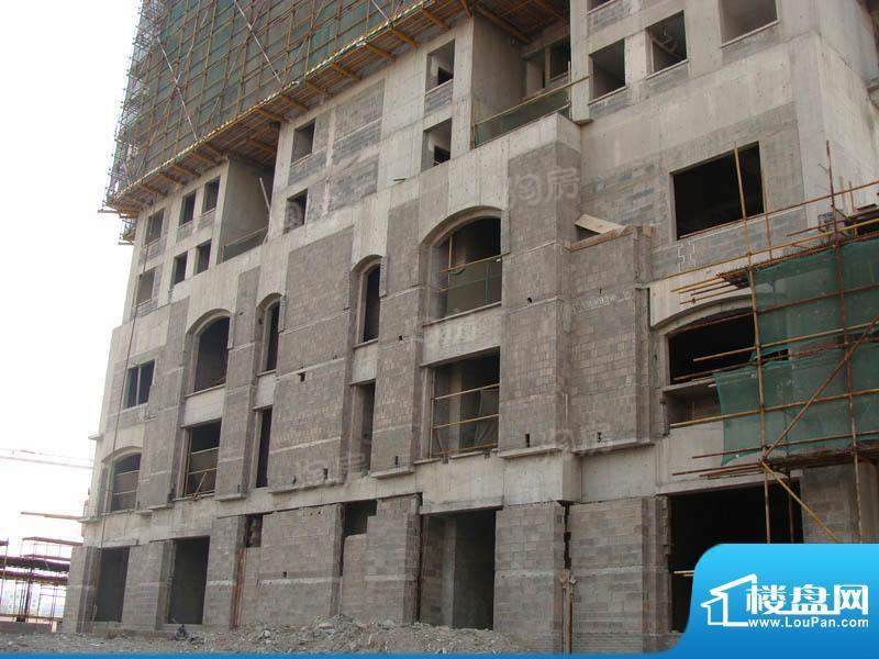 高成天鹅湖配套图