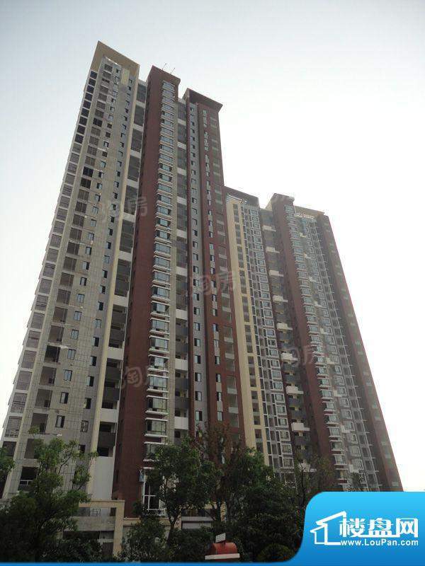 星河国际配套图