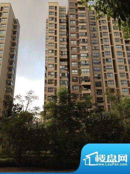 新城域配套图