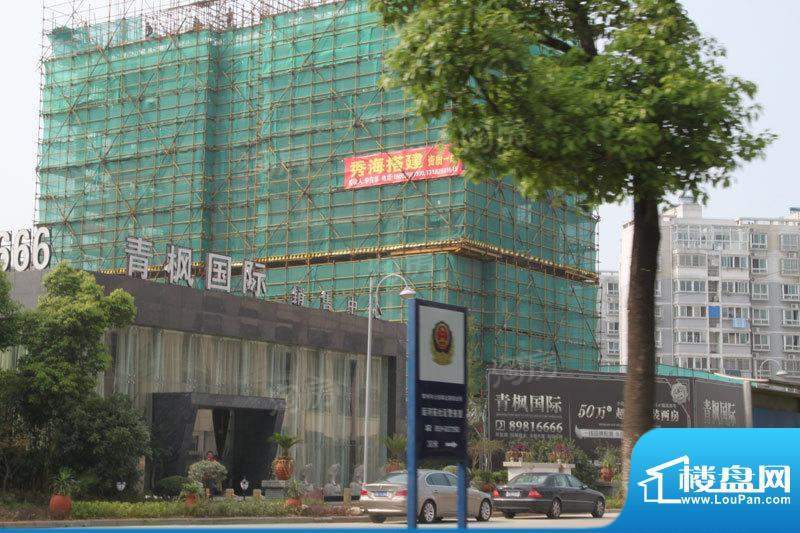 青枫国际配套图