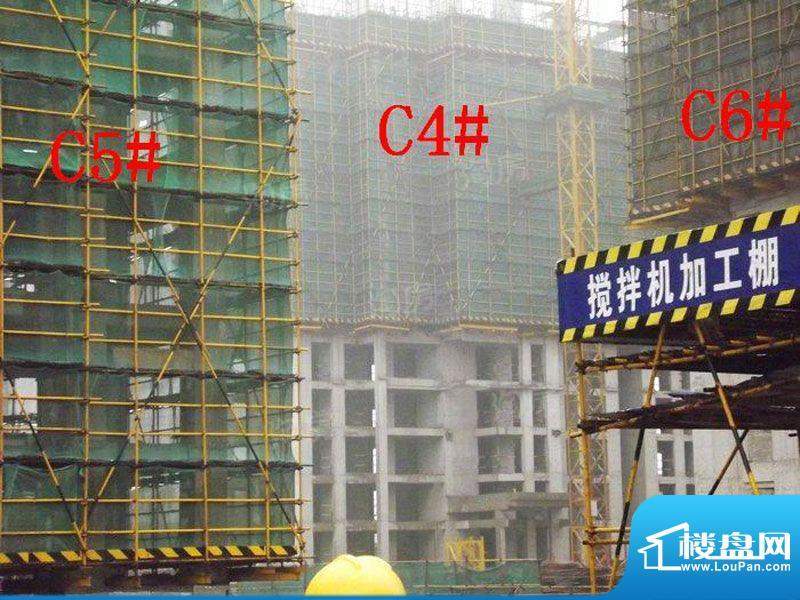 绿地白金汉宫配套图