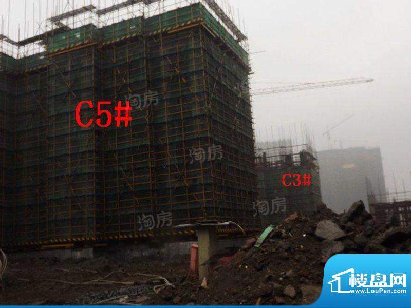 绿地白金汉宫配套图