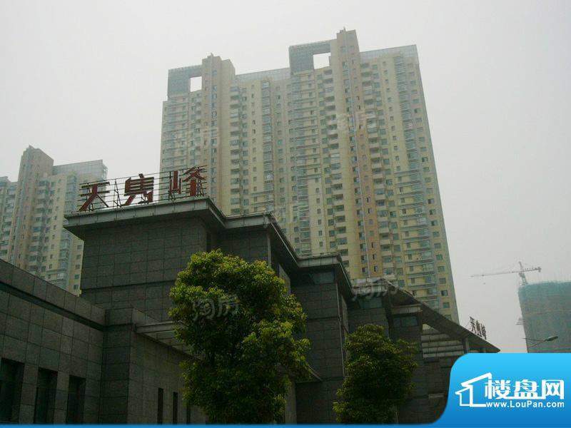天隽峰配套图