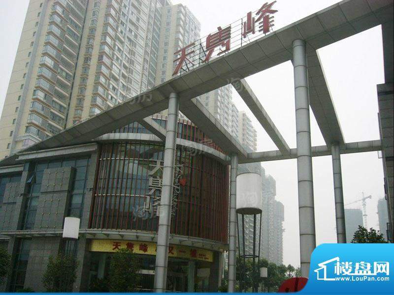天隽峰配套图